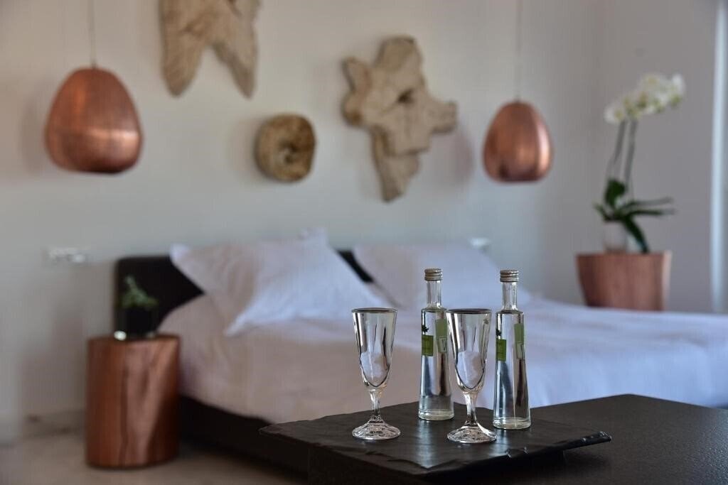 Imaginea Hermes Mykonos Hotel 4*