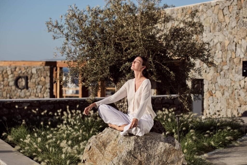 Imaginea Anemelia Hotel Mykonos 5*