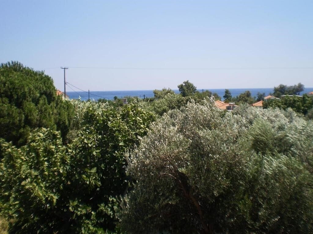 Imaginea So Nice Hotel 3*