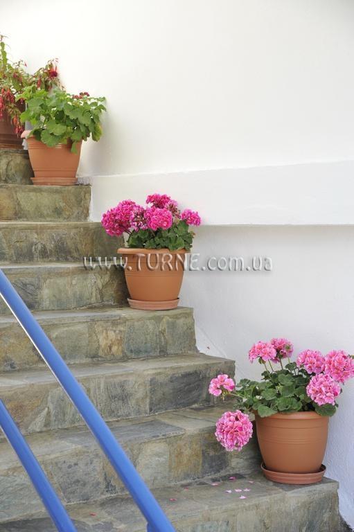 Fotografii Anemomilos Suites Fira 2*