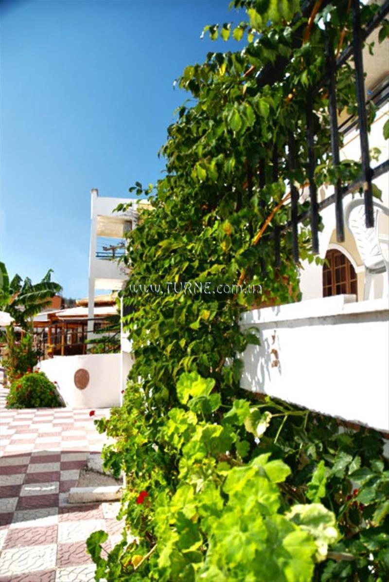 Отель Vanessa Apartments 3*