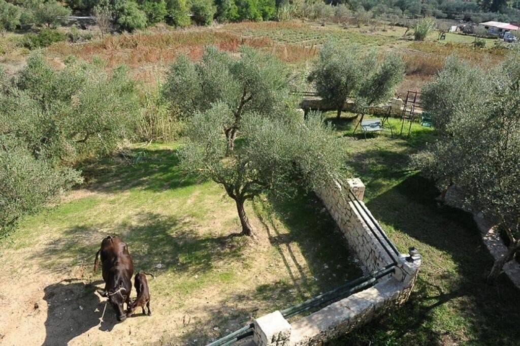 Fotografie Ammos Villas 4*