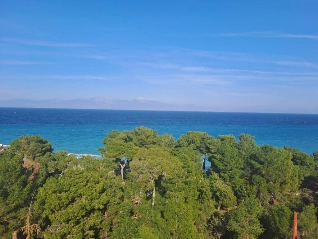 Фотография Evita Blue 4*
