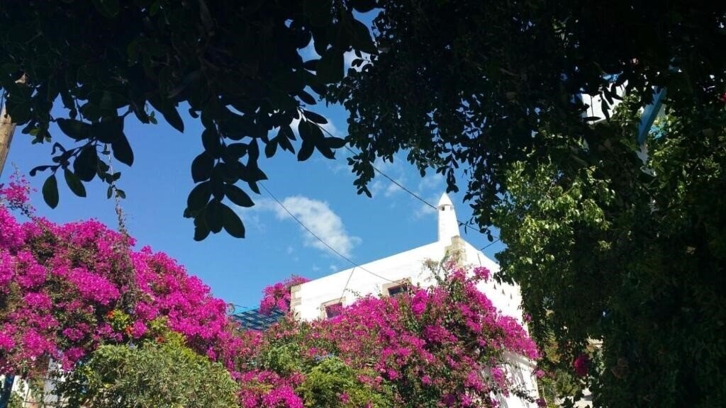 Hotel Xenonas отель без категории