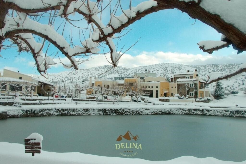 Отель Delina Mountain Resort 4*