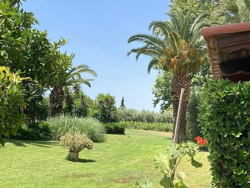 Fotografii Marthas Haus 4*