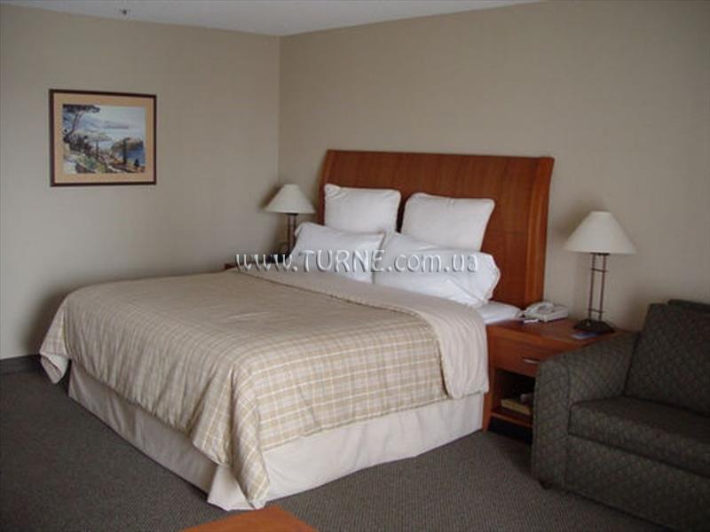 Отель Hotel Ventura 3*