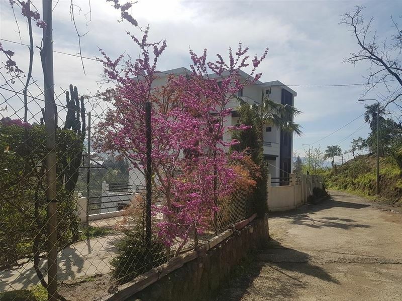 Отель Holiday House Green Cape Batumi 3*