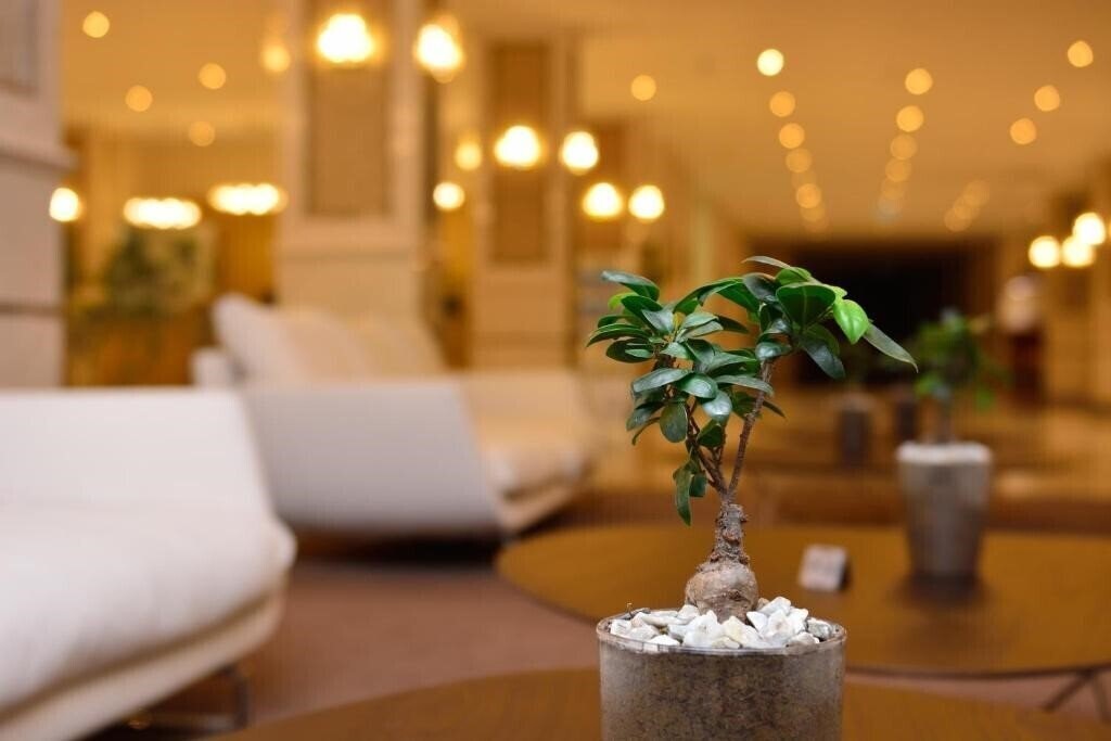 Imaginea Grand Gloria 5*