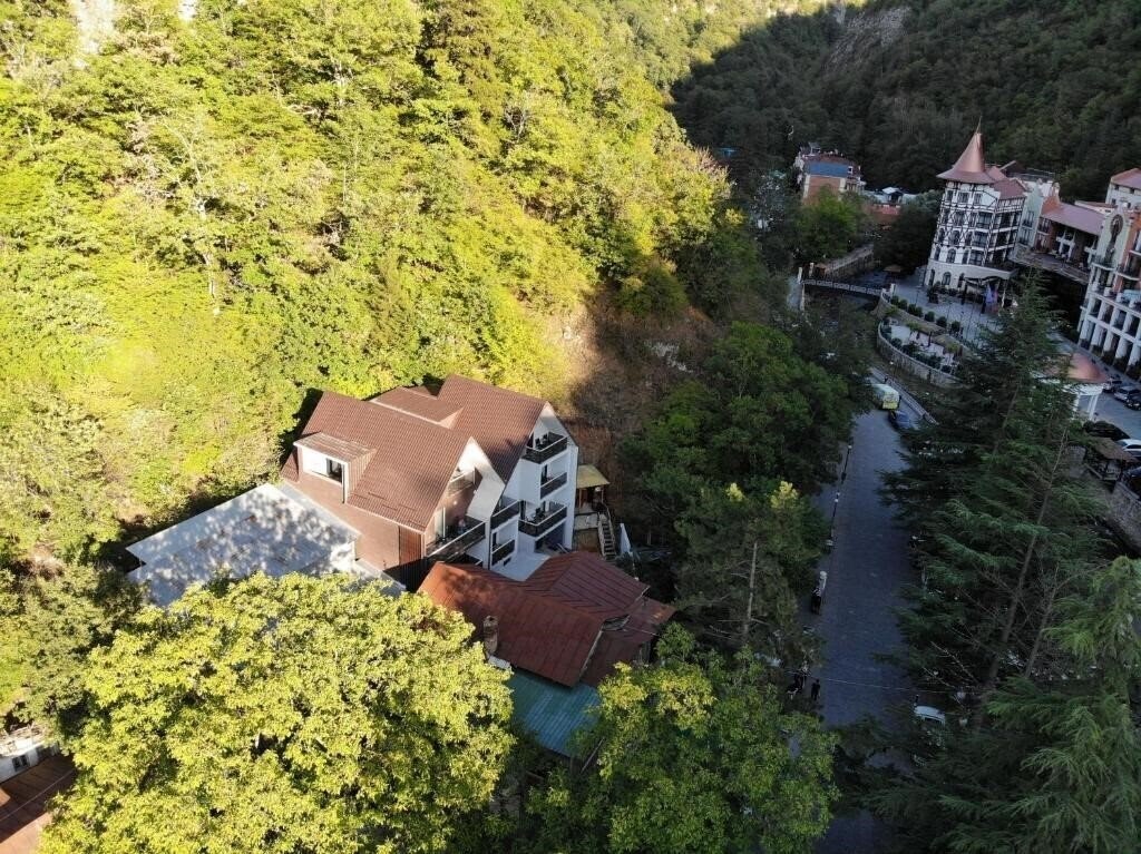 Hotel Hotel Borjomi Underwood 4*