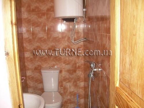 Изображение Viola 3*