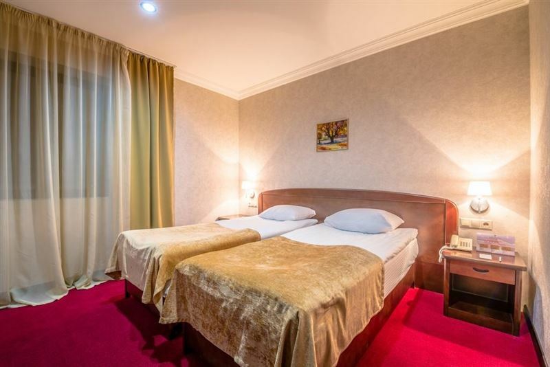 Imaginea Kopala Tskneti 3*