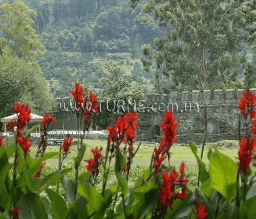 Imaginea Sarpi STR 3*