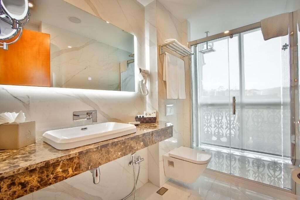 Fotografii New Tiflis Hotel 4*