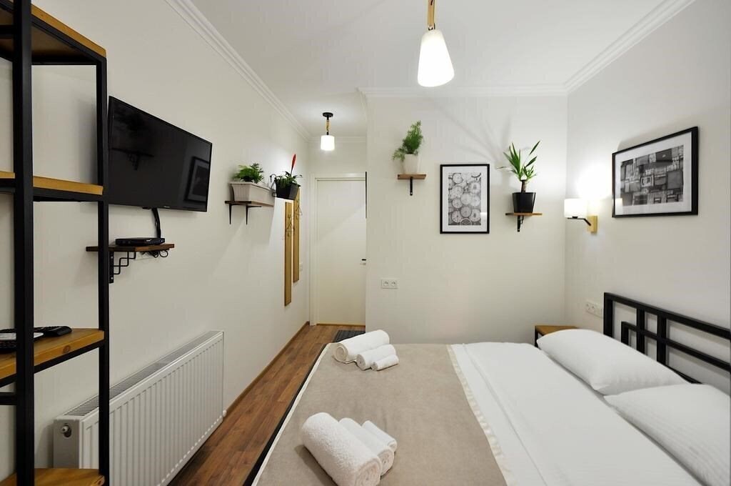 Fotografii Art Nebula 3*