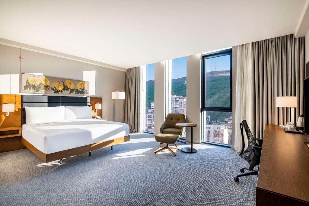 Fotografii Hilton Garden Inn Tbilisi Chavchavadze 4*