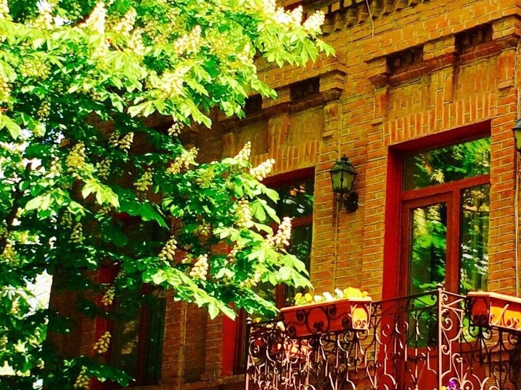 Fotografii British House 4*