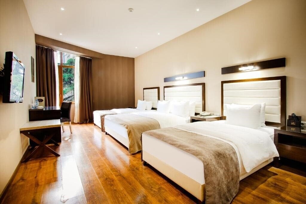 Imaginea Orion Tbilisi 3*