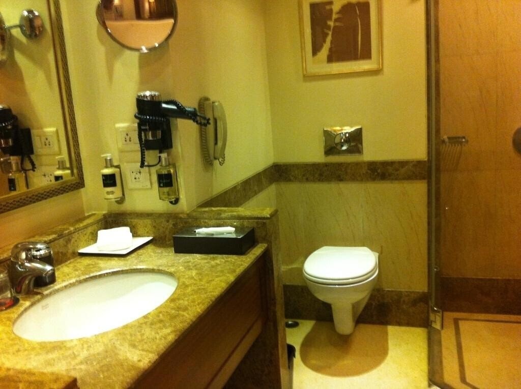 Fotografii Golden Tulip Jaipur 4*