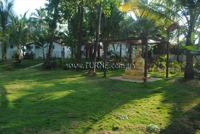 Imaginea Micasa Beach Resort 3*