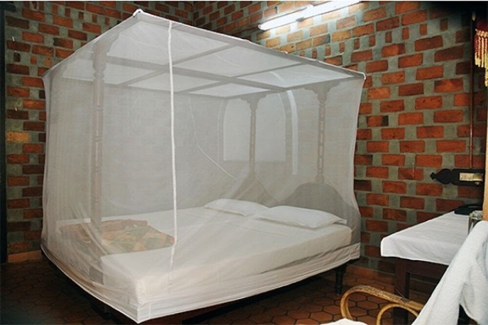 Фотография Shinshiva Ayurveda Ashram 3*