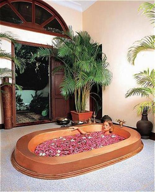 Картинка Taj Garden Retreat 4*