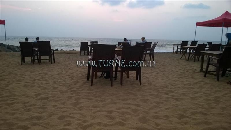 Imaginea Palm Tree Bungalow 4*