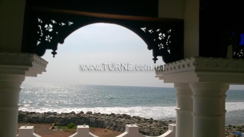 Fotografie Palm Tree Bungalow 4*