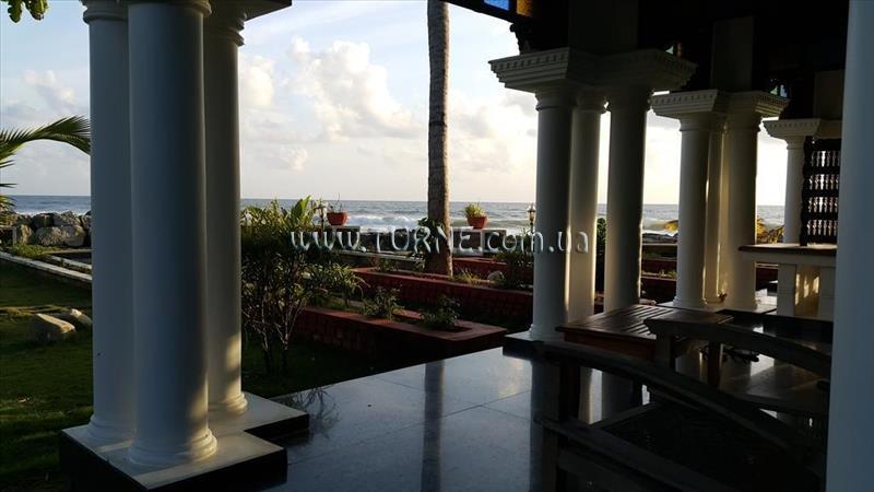 Fotografii Palm Tree Bungalow 4*