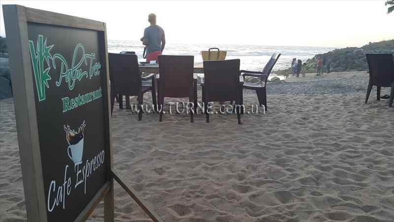 Hotel Palm Tree Bungalow 4*