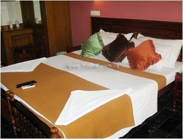 Imaginea Pappukutty Beach Resort 2*