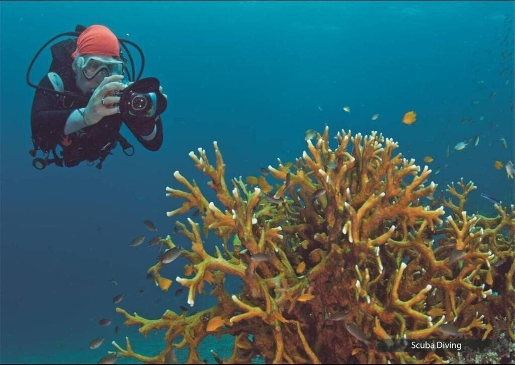 Изображение Barefoot At Havelock 4*