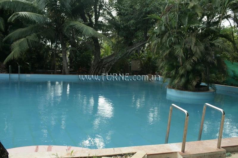 Imaginea Little Italy 2*