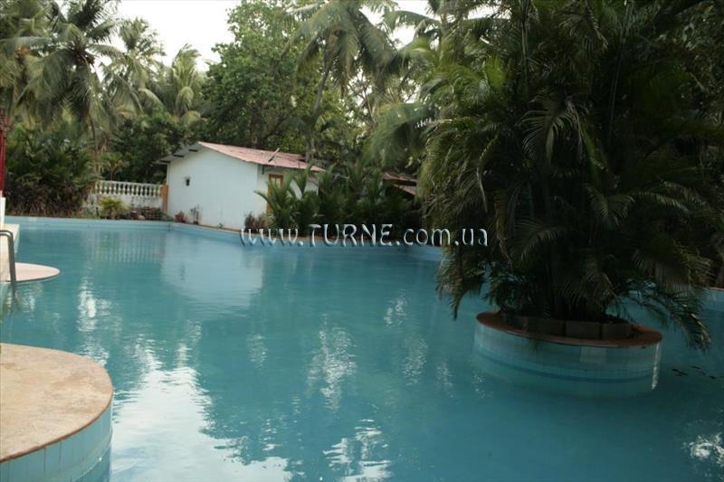 Imaginea Little Italy 2*