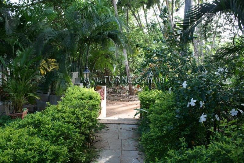 Fotografie Little Italy 2*