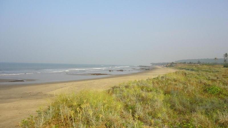 Imaginea Bay Breeze Hotels & Resorts (ex. Morjim Grand Inn, New Morjim Club Resort) 3*