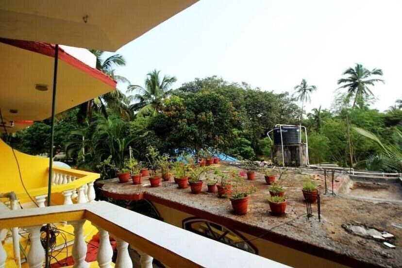 Фотография Hotel Celjoan Beach Resort (ex. Celjoan Guest House) 3*