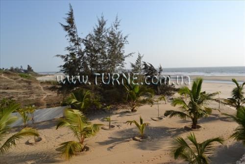 Imaginea Mandrem Beach Resort 2*