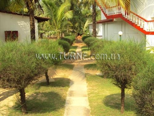 Imaginea Mandrem Beach Resort 2*