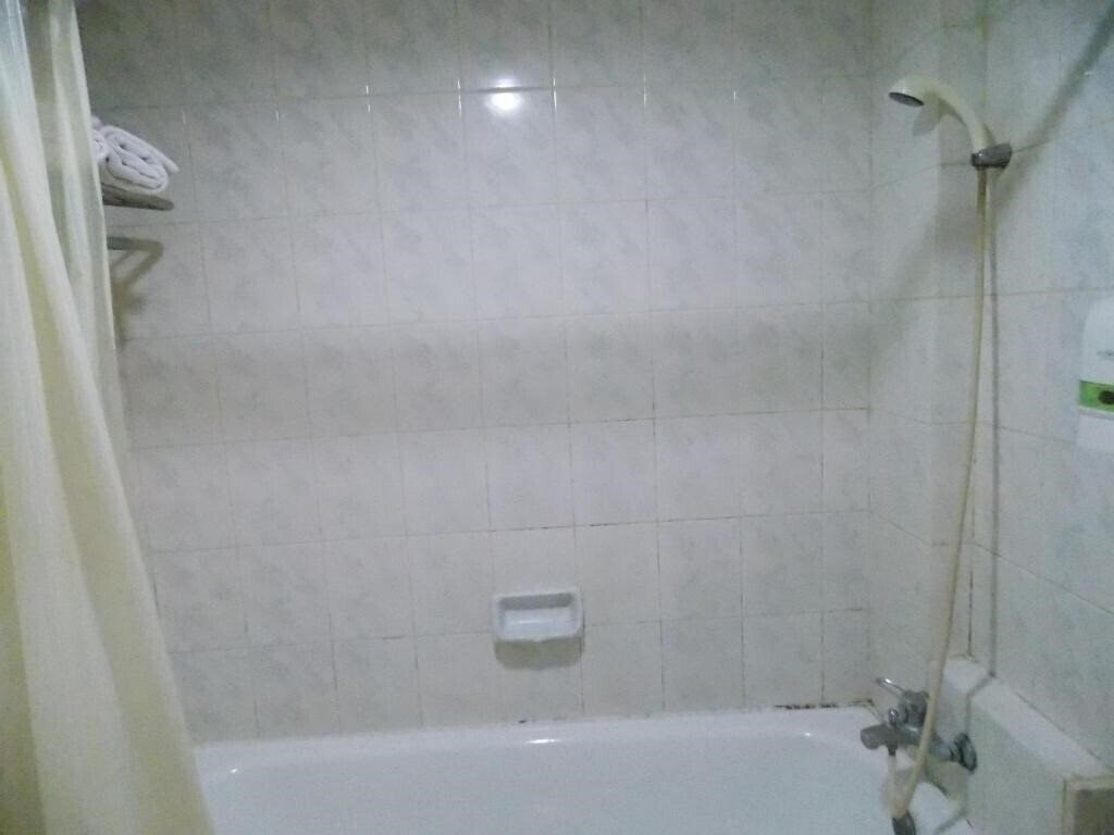 Fotografii Puri Mega Hotel 1*