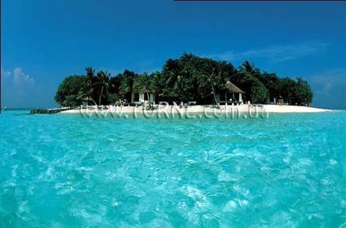 Fotografii The Beverly Hills Villas 5*