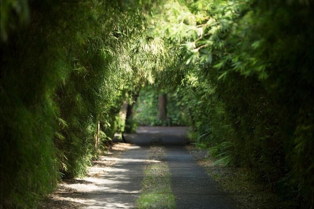 Imaginea Bali Pavilions 4*