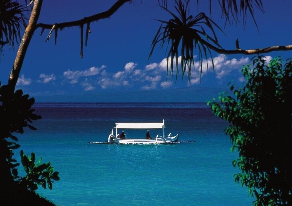 Fotografie Alila Manggis 4*