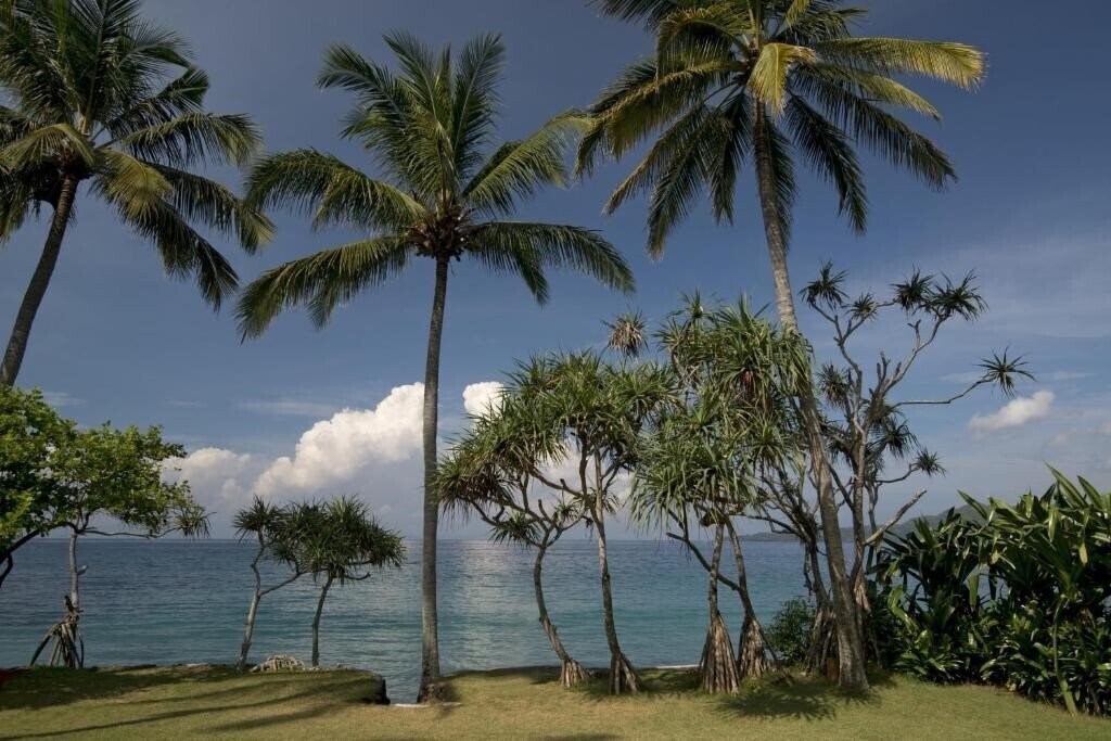 Imaginea Alila Manggis 4*