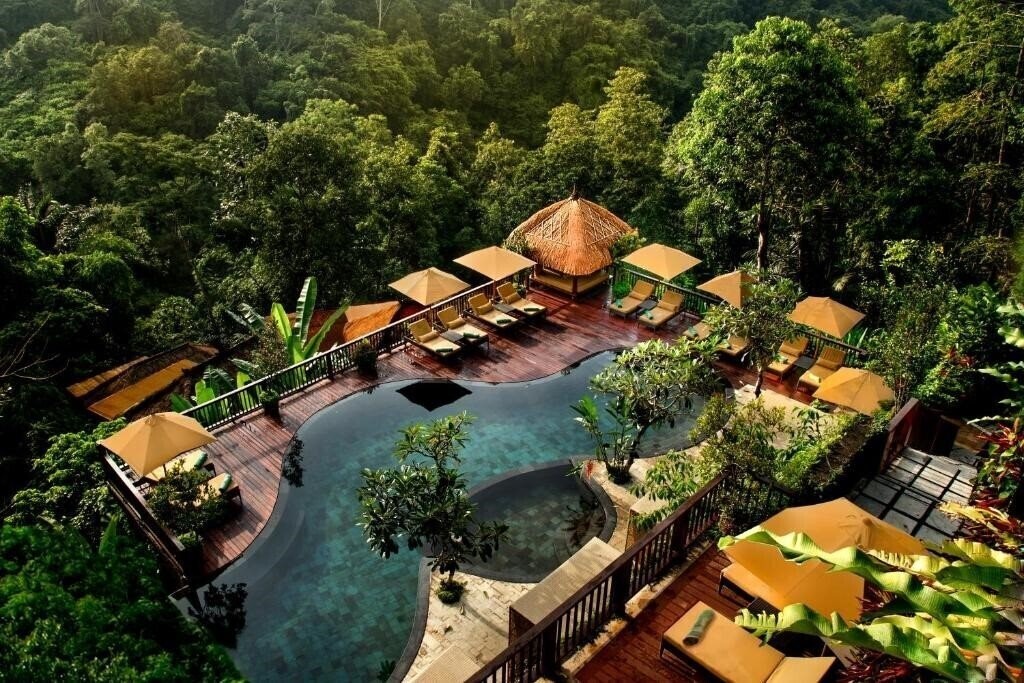 Отель Nandini Jungle Resort & SPA 3*