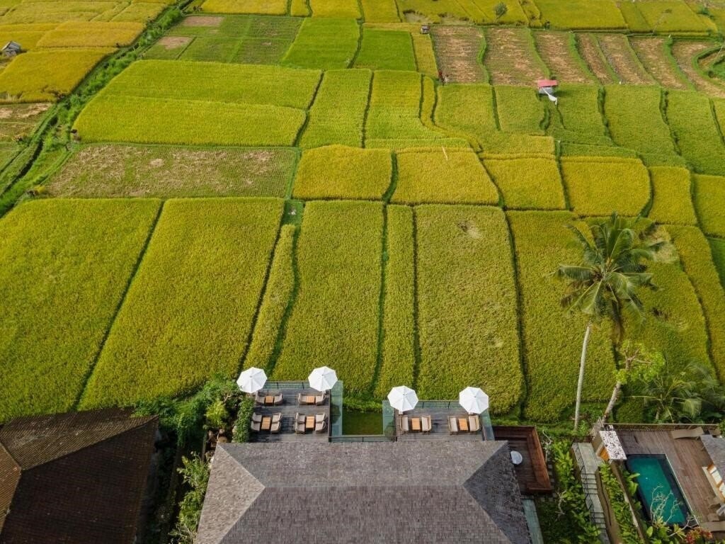 Фотография Kappa Senses Ubud 5*