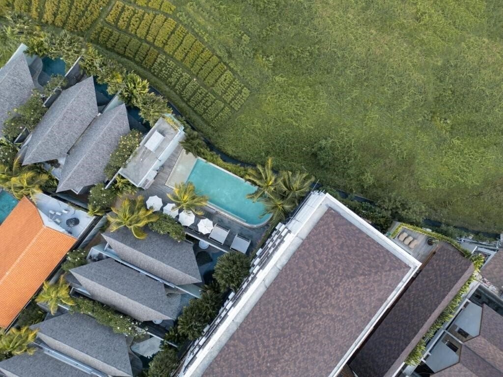 Fotografii Astera Canggu 5*