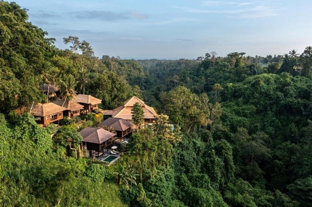 Fotografii Natura Resort Ubud 4*