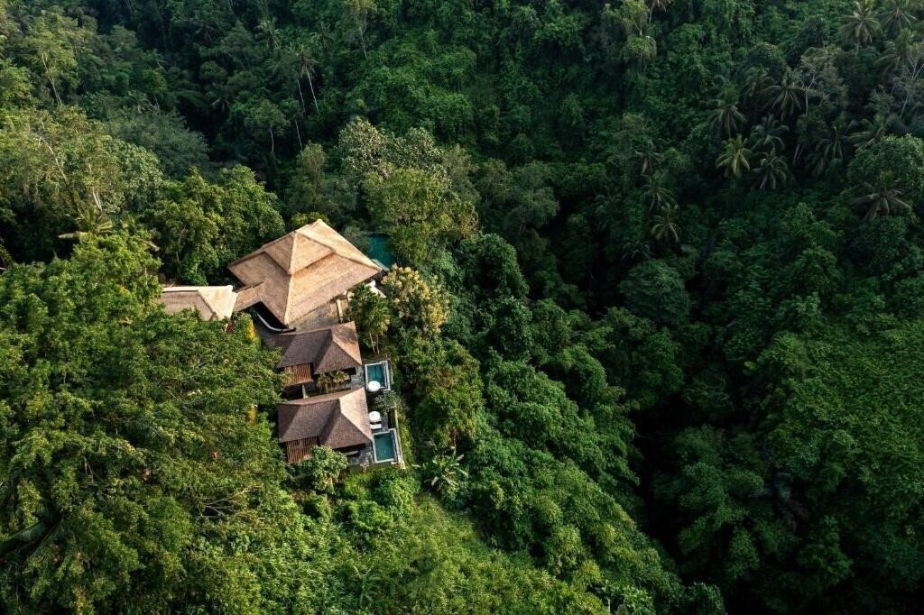 Imaginea Natura Resort Ubud 4*