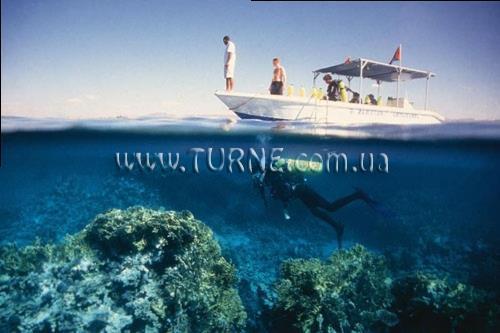 Изображение Mina 3*